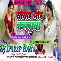 Ek Din Ke khatra Ban Janta Sonar Mor Balamua New Song Hard Vibration Bass Mix Dileep BaBu Hi TeCh 